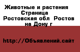  Животные и растения - Страница 2 . Ростовская обл.,Ростов-на-Дону г.